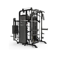 All-in-One Functional Trainer DY-9000